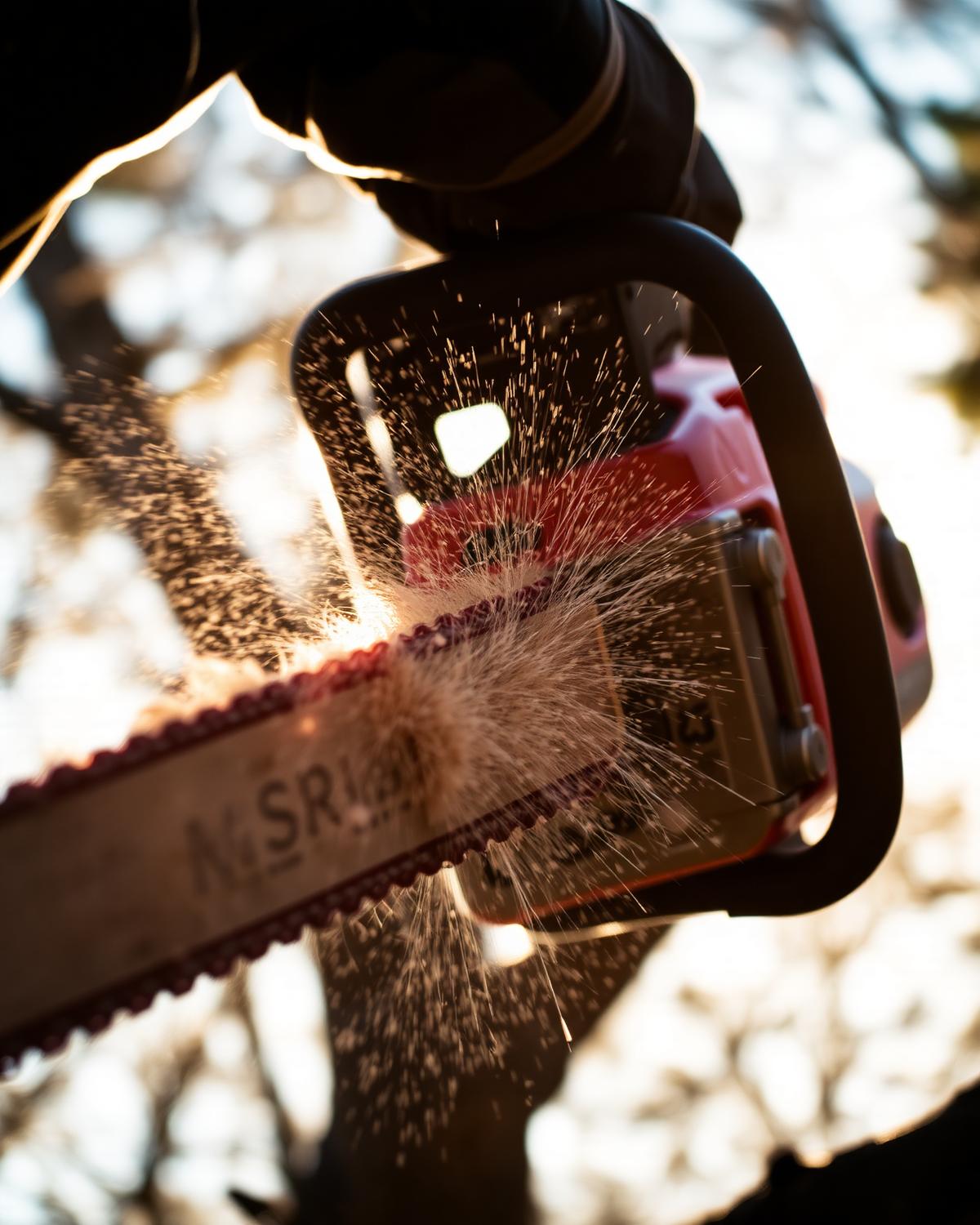 Land clearing project by NZ Tree Smiths — Macrocarpa shelterbelt thinning, Karaka